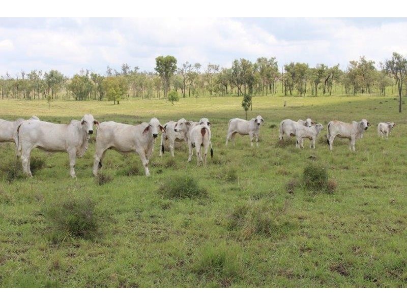 Eidsvold QLD 4627