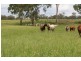 Eidsvold QLD 4627