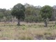 Eidsvold QLD 4627