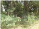 32 WECHSELS ROAD, Horton QLD 4660