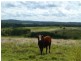 North Isis QLD 4660