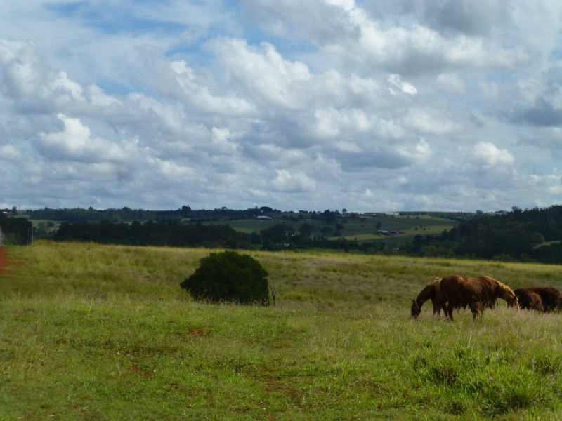 North Isis QLD 4660