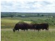 North Isis QLD 4660