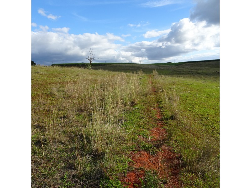 Lot 2,  COOKS ROAD, South Isis QLD 4660