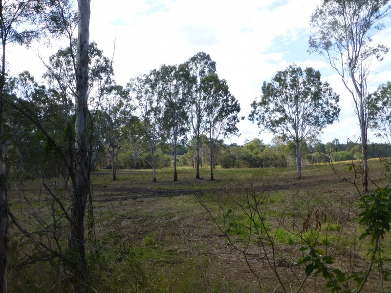 Apple Tree Creek QLD 4660