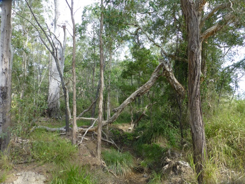 Apple Tree Creek QLD 4660