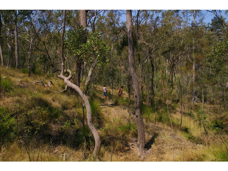 1022 HAYLOCKS ROAD, Promisedland QLD 4660