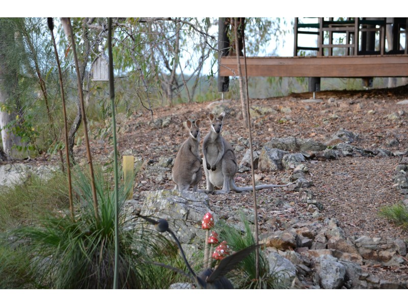 1022 HAYLOCKS ROAD, Promisedland QLD 4660