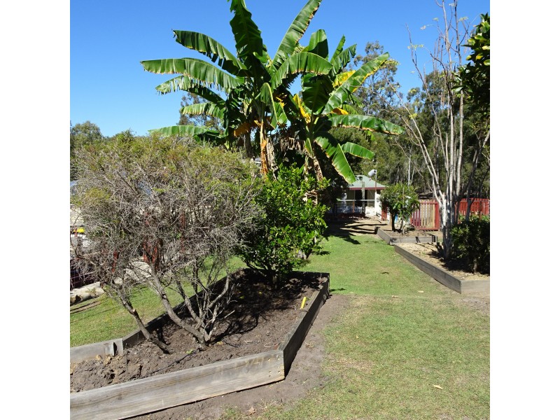 10 COCKATOO COURT, Apple Tree Creek QLD 4660