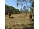 47 WARRENERS ROAD, Cordalba QLD 4660