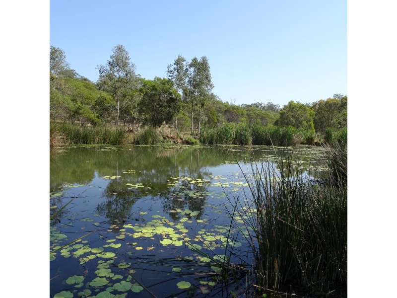 47 WARRENERS ROAD, Cordalba QLD 4660