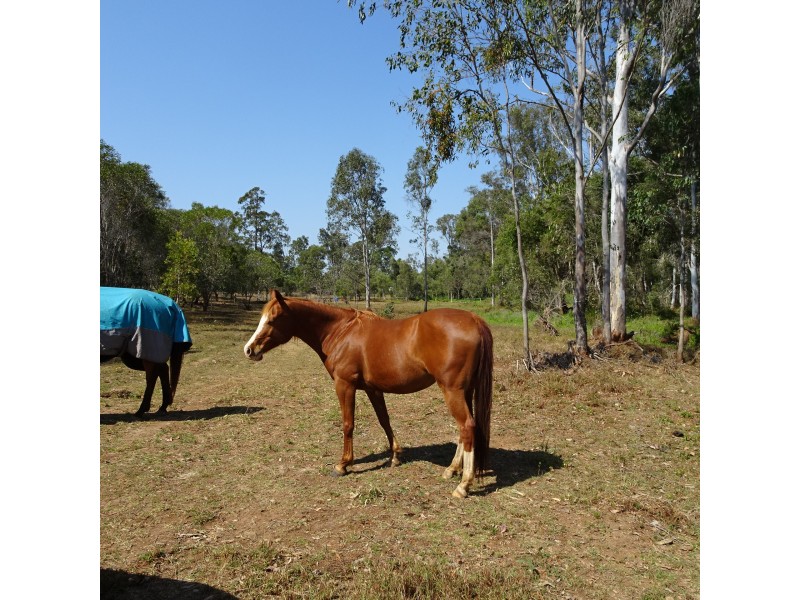 47 WARRENERS ROAD, Cordalba QLD 4660