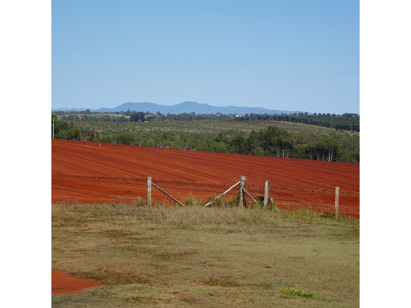 166 ABINGTON ROAD, Abington QLD 4660