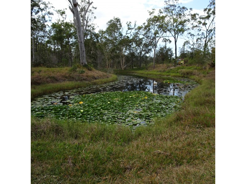 1452 BUXTON ROAD, Buxton QLD 4660