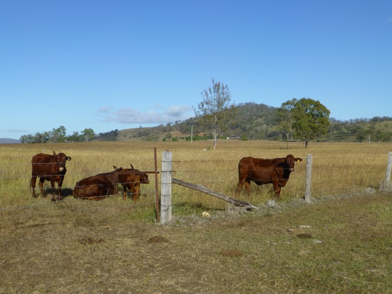 Lot 82 & 1,  MT HASTINGS CREEK ROAD, Biggenden QLD 4621