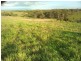 Lot 57,  THOMAS ROAD, Dallarnil QLD 4621