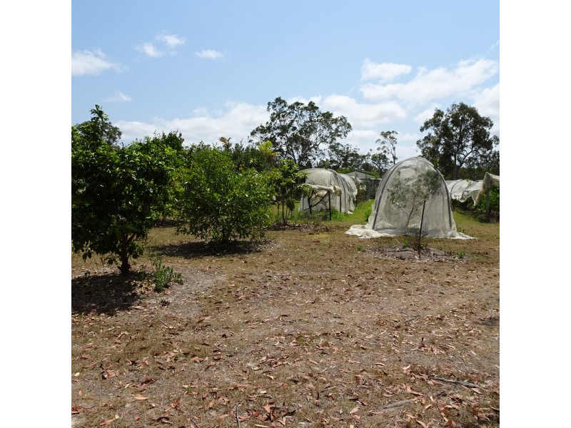 1308 BUXTON ROAD, Buxton QLD 4660