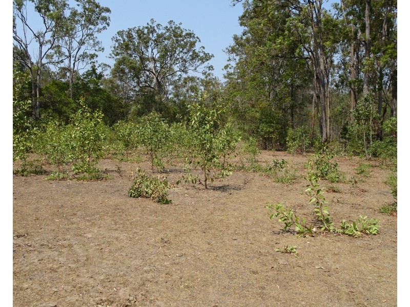 49 STOCKYARD ROAD, North Isis QLD 4660