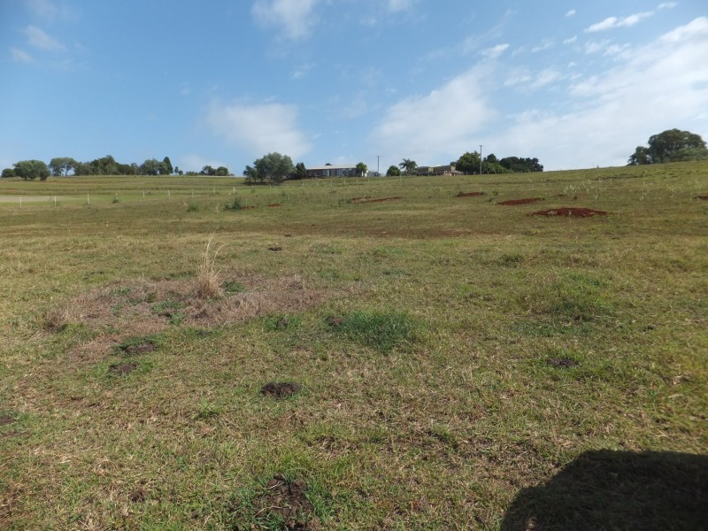 32 Wechsels Road, Horton QLD 4660