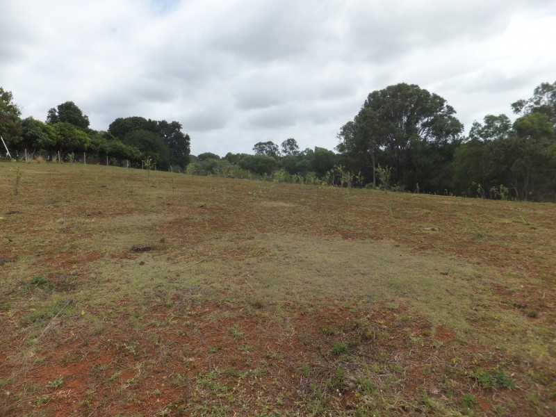 32 Wechsels Road, Horton QLD 4660