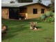 7965 ISIS HIGHWAY, Golden Fleece QLD 4621