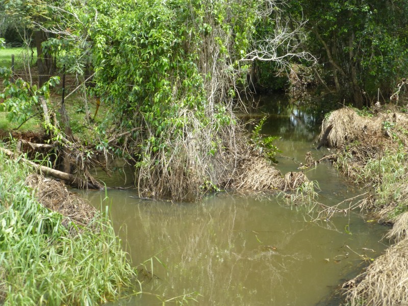 Lot 3,  SOUTH ISIS ROAD, South Isis QLD 4660