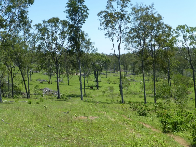 Doongul QLD 4620