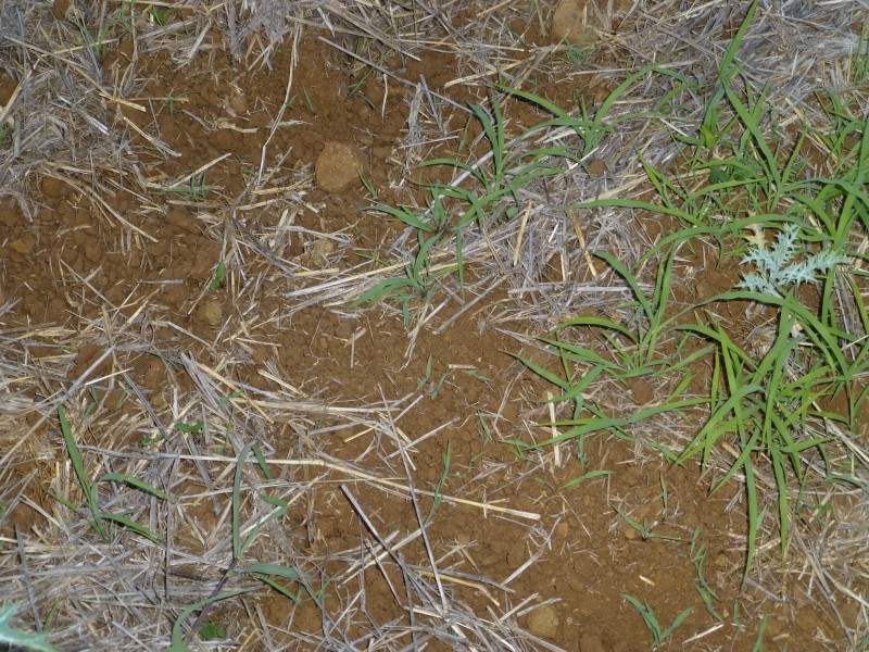 197 MITCHELLS ROAD, Degilbo QLD 4621