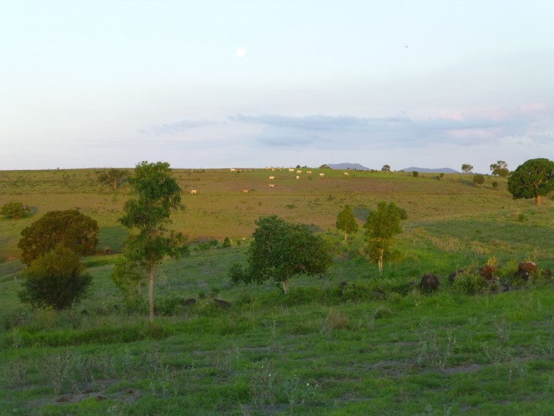 197 MITCHELLS ROAD, Degilbo QLD 4621