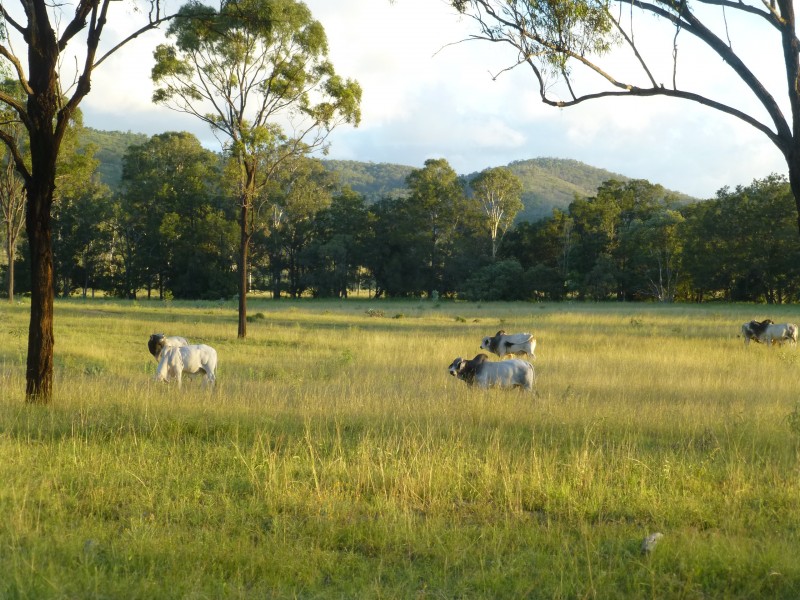 Coalstoun Lakes QLD 4621