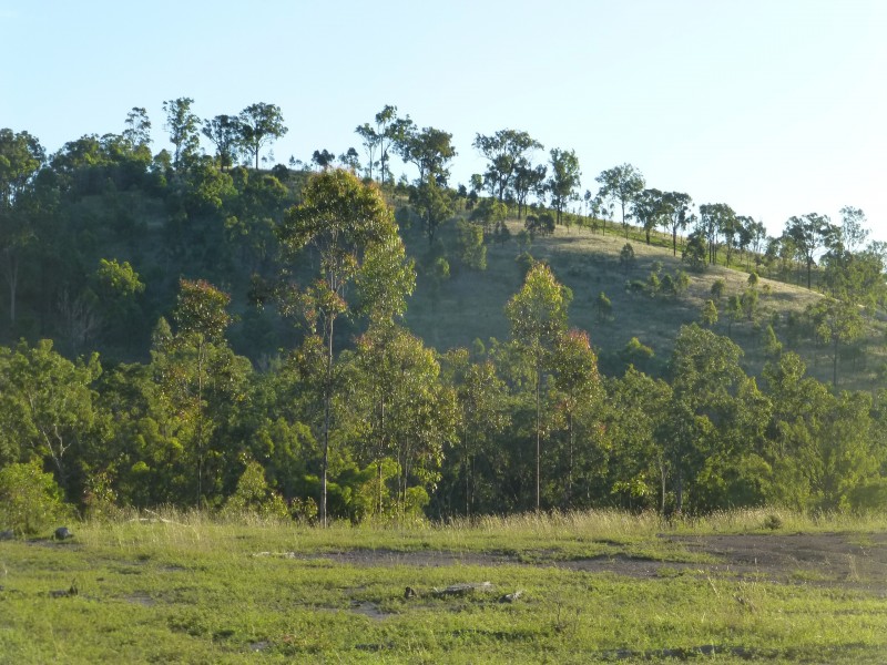 Coalstoun Lakes QLD 4621