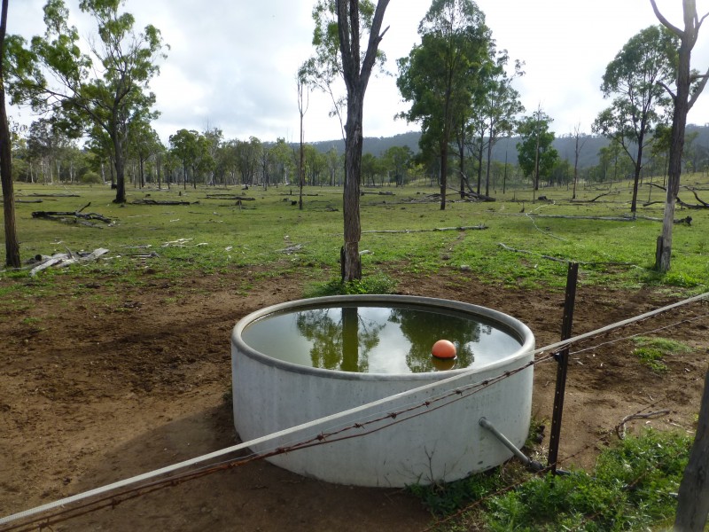 Coalstoun Lakes QLD 4621