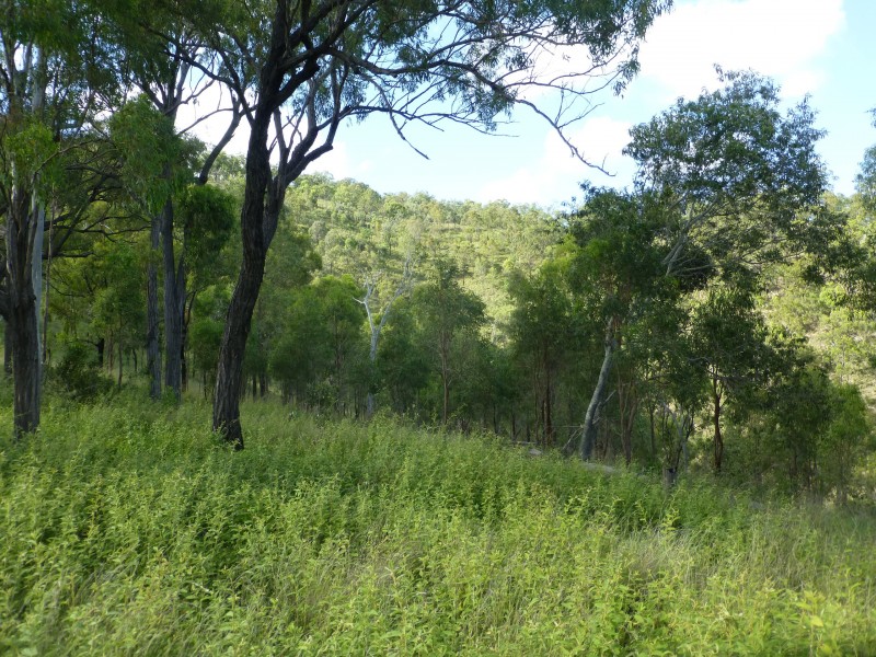 Coalstoun Lakes QLD 4621