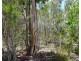 20 Pioneer Road, Buxton QLD 4660