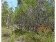 20 Pioneer Road, Buxton QLD 4660