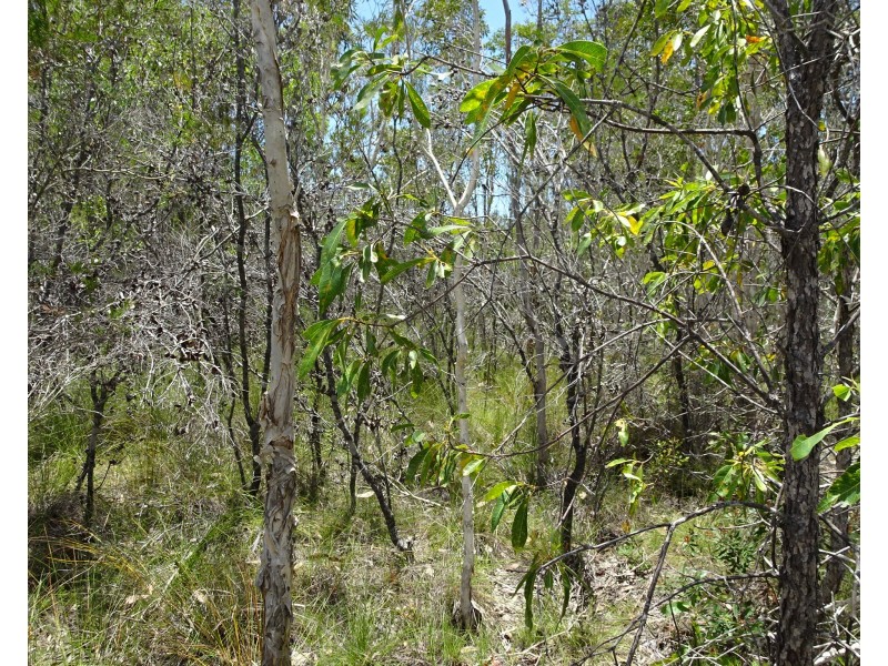 20 Pioneer Road, Buxton QLD 4660