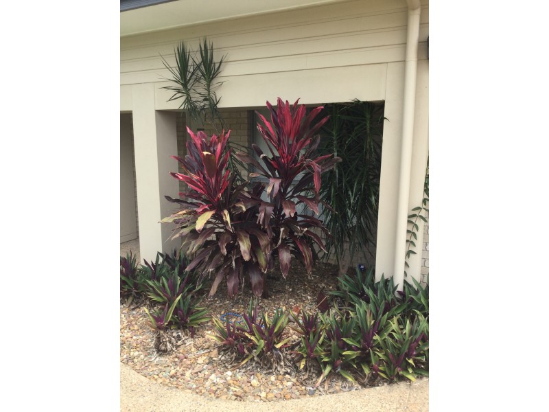 5 Redbank Court, Cordalba QLD 4660