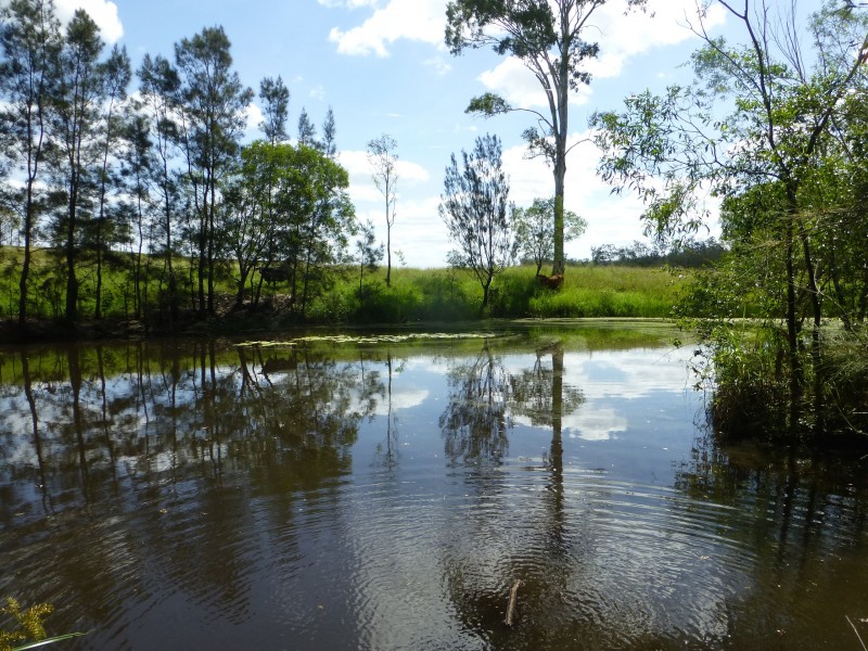Dunmora QLD 4650