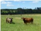 Dunmora QLD 4650