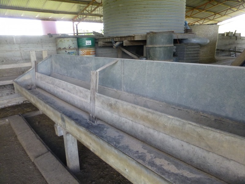 Dunmora QLD 4650