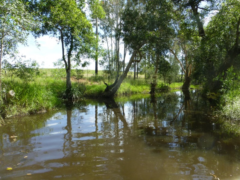Dunmora QLD 4650