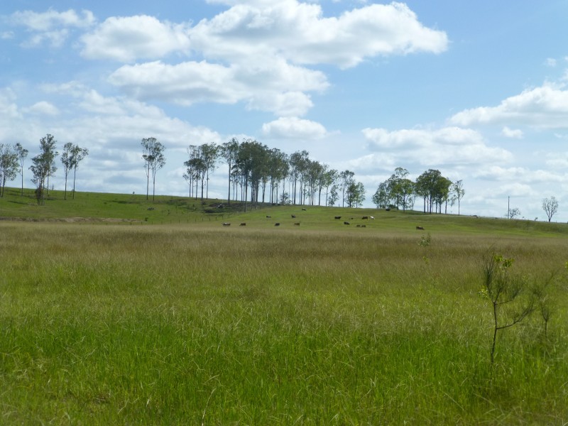 Dunmora QLD 4650