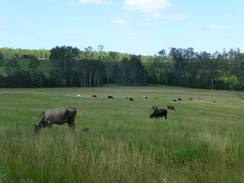Dunmora QLD 4650