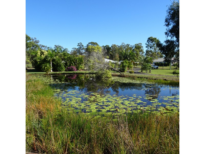 131 SUNNYBRAE CIRCUIT, Redridge QLD 4660