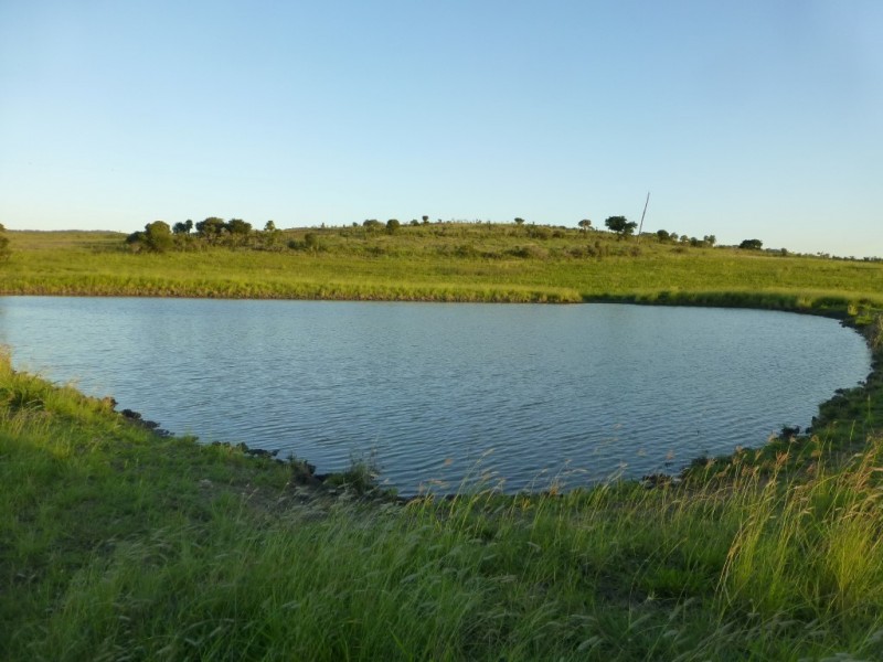 Dallarnil QLD 4621