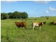 Dallarnil QLD 4621