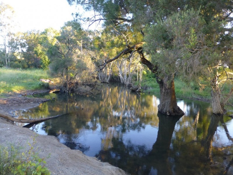 Dallarnil QLD 4621