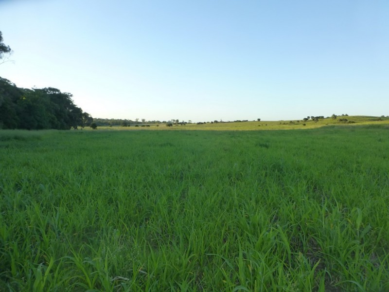 Dallarnil QLD 4621