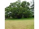 50 CSR DEPOT ROAD, North Isis QLD 4660