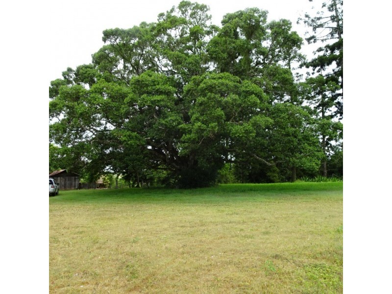 50 CSR DEPOT ROAD, North Isis QLD 4660